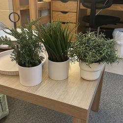 Plants 3 Pcs (can Sell Individually) 