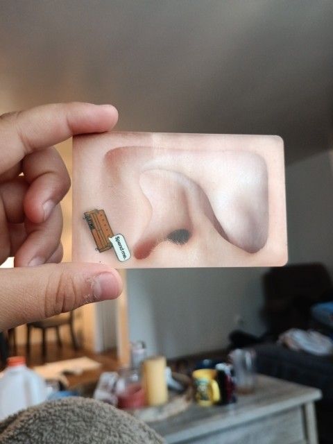 40 Dollars In It 