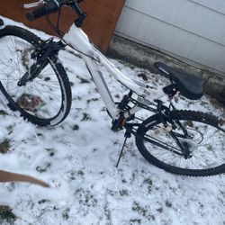 bikes