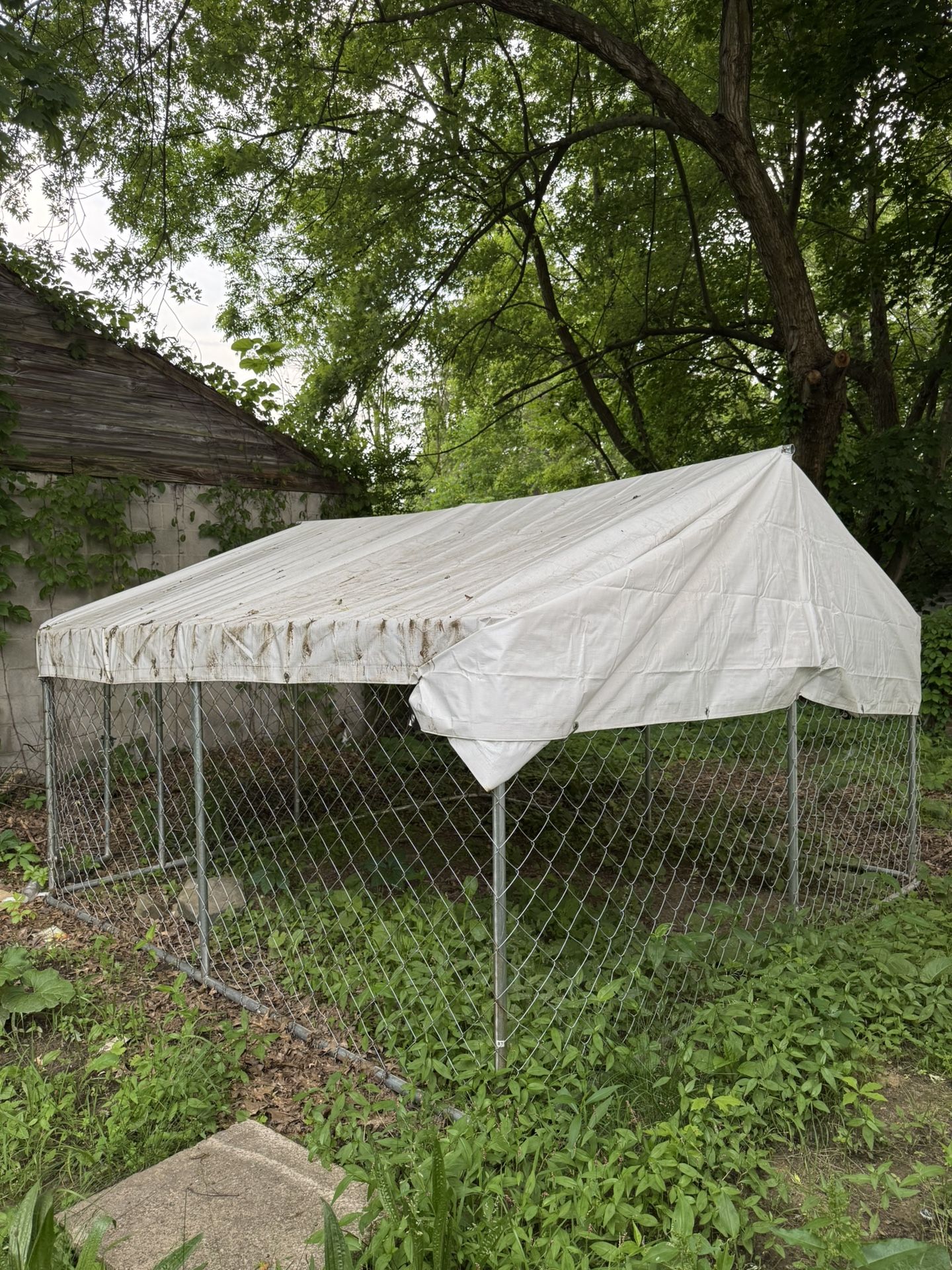 Large Outdoor Kennel