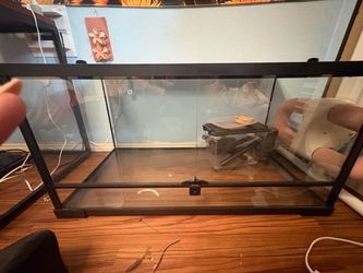 40 gal reptile tank
