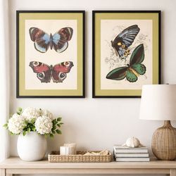Pottery Barn Butterfly Framed Wall Art Set (2) Large Botanical Prints