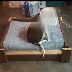 Insulated Dog Bed