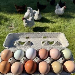 Farm Fresh Eggs