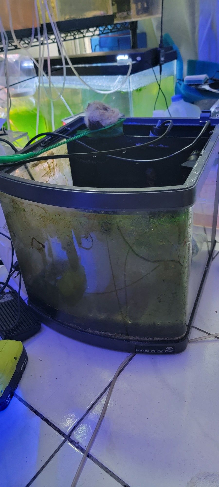 10g Biocube Fish Tank