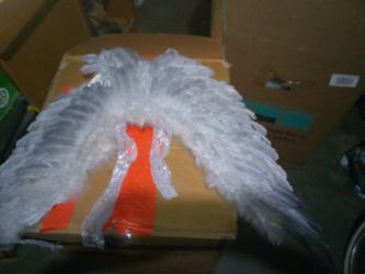 Wings Halloween Costume 
