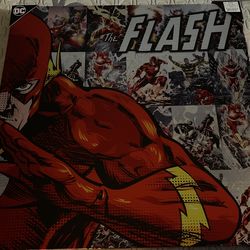 The Flash Portrait 
