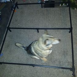 Queen Sized Bedframe