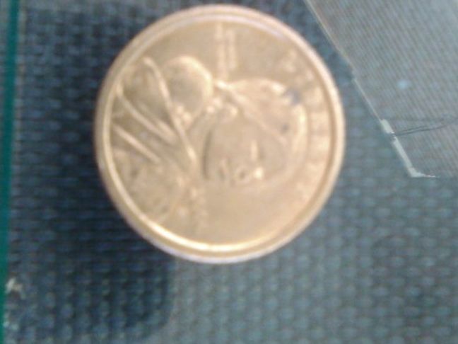 Gold Dollar Coin Year 2000 Mint Mark P