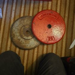 Two 25-pound weights 