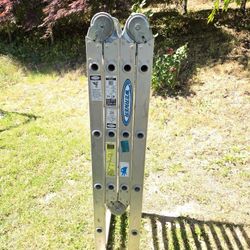 Werner Ladders 
