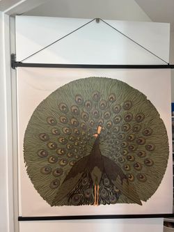 IKEA Peacock Wall Hanging Art – 36” x 36”