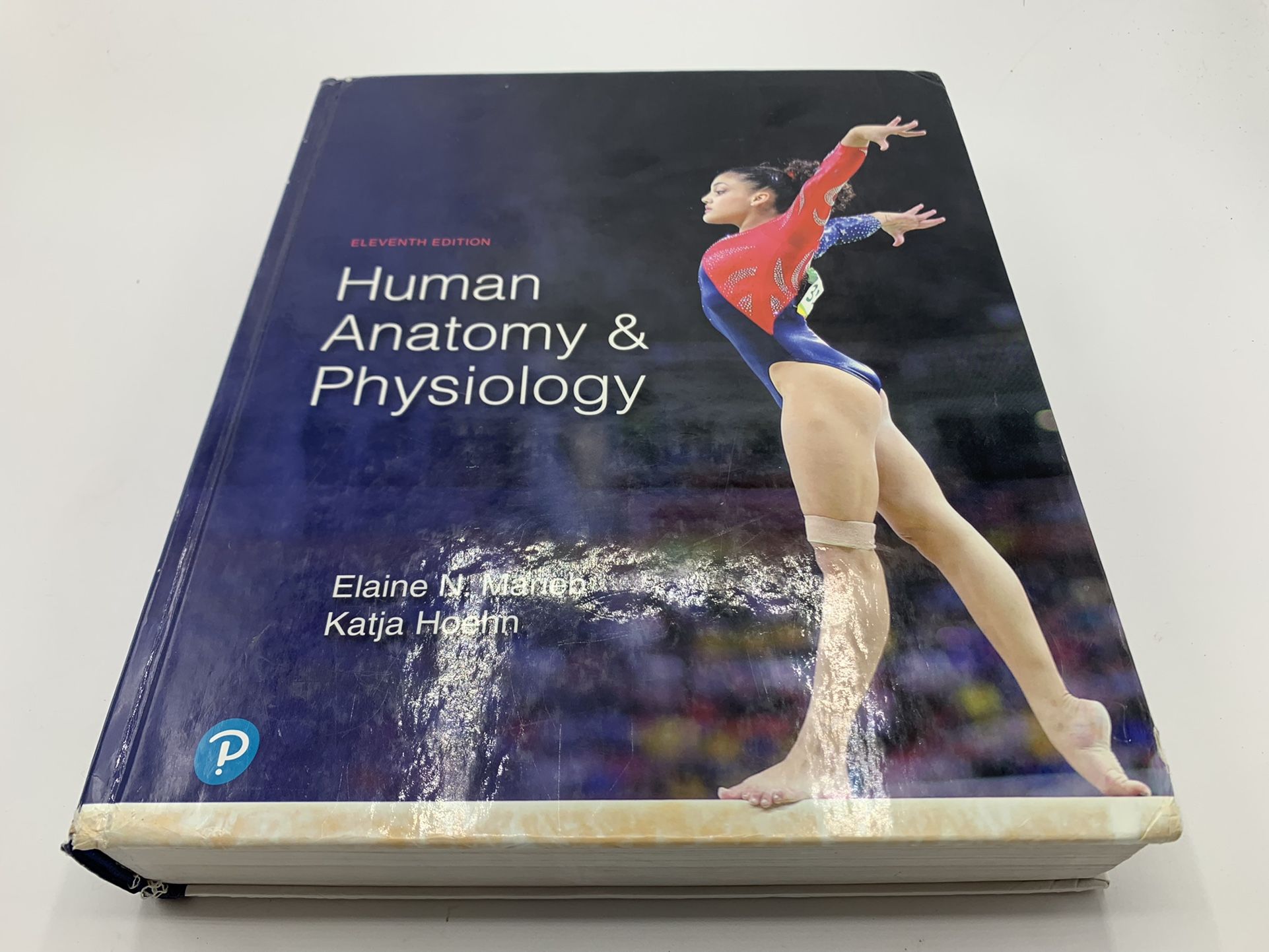 Human Anatomy & Physiology 