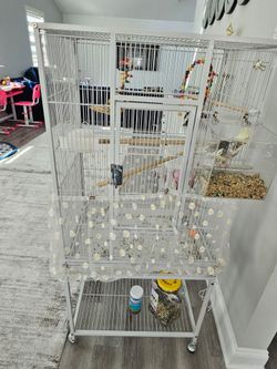 Bird cage