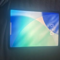 iPad Pro (11 inch) (2nd generation)