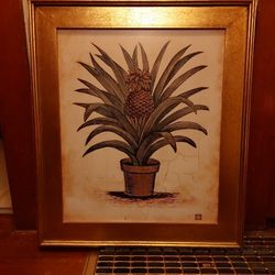 Gold Framed Pineapple Plant
