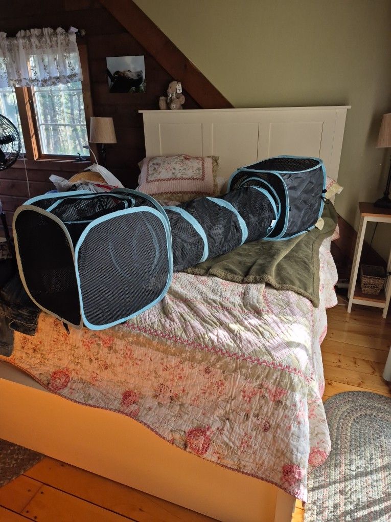Cat Tunnel