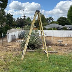 Husky 8 Foot Ladder 