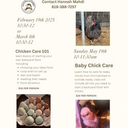 Chicken Care Classes 