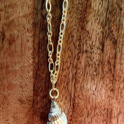 14K Gold Edged Conch Shell Necklace