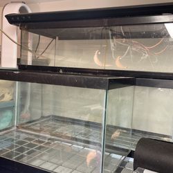 Aquarium Fish Tank 