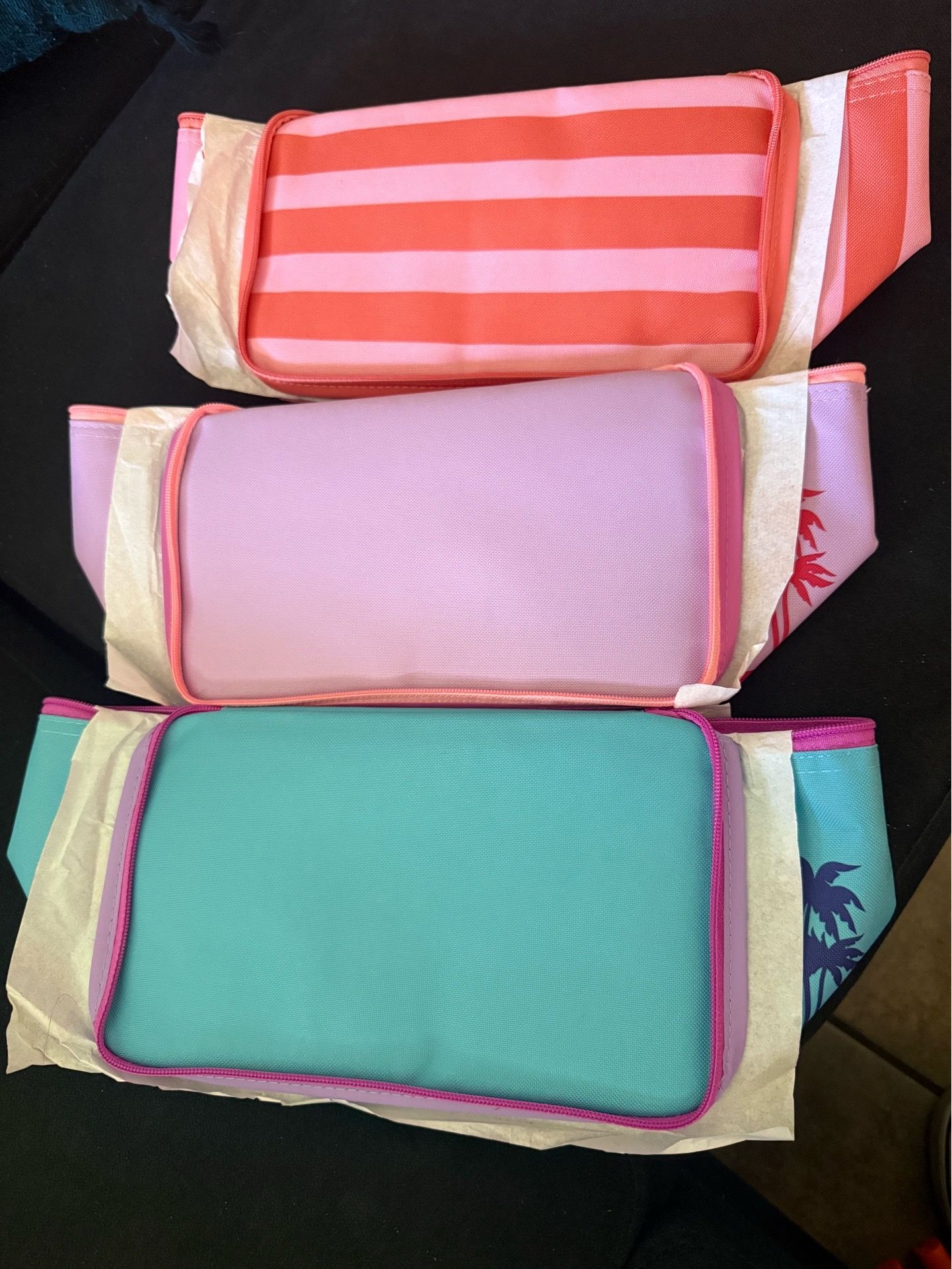 Trader Joe’s New Insulated Bag launch