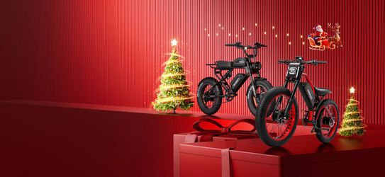 Meelod Electric Bike Christmas Sale
