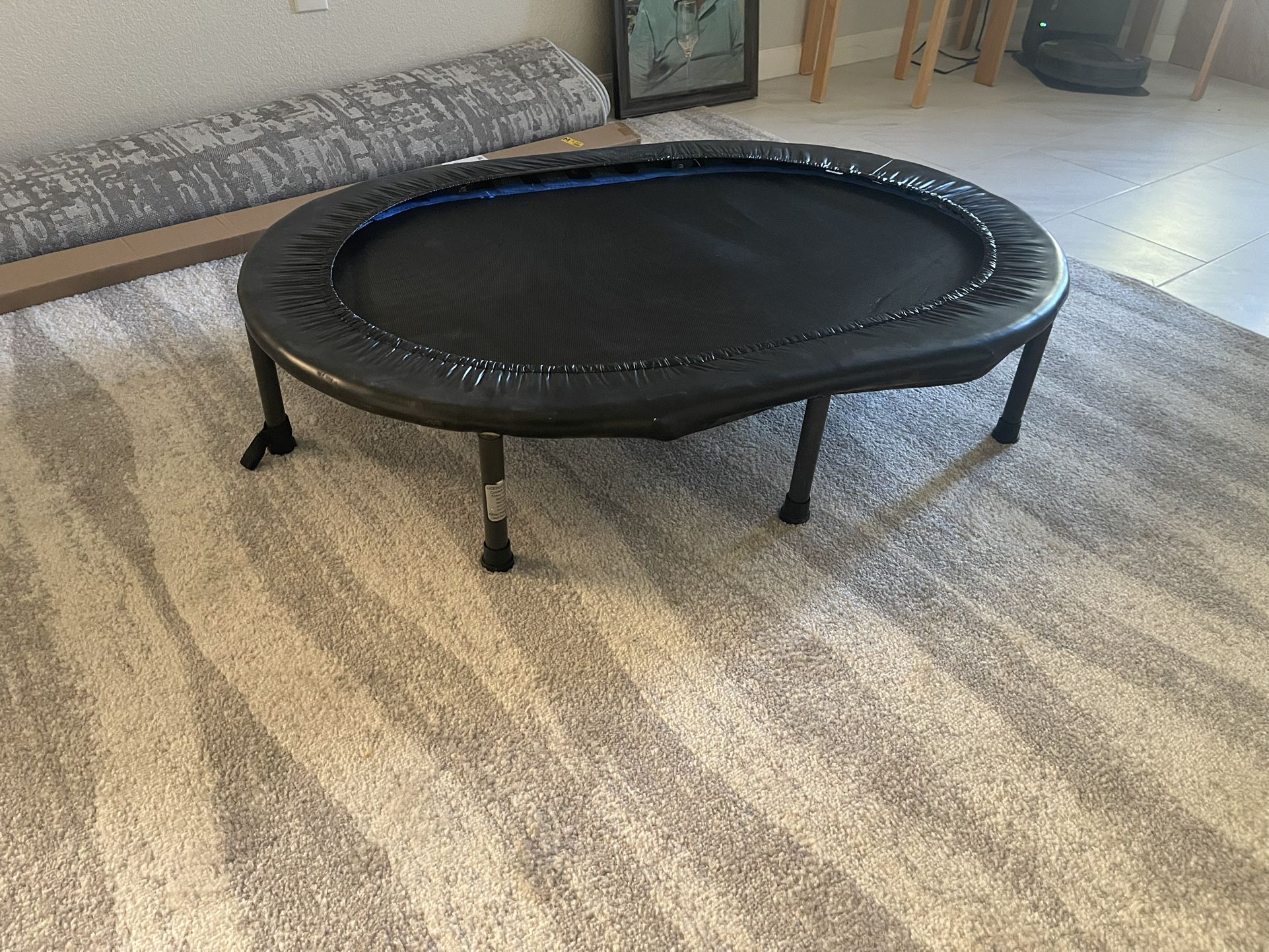 Exercise Trampoline. Need Gone Today