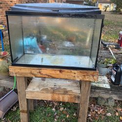 Fish Tank 