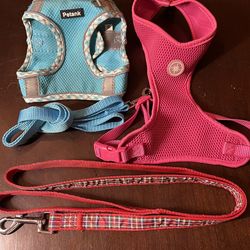 Dog leashes & harnesses $3 each