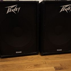 Two (2) Peavey Commercial Speakers 
