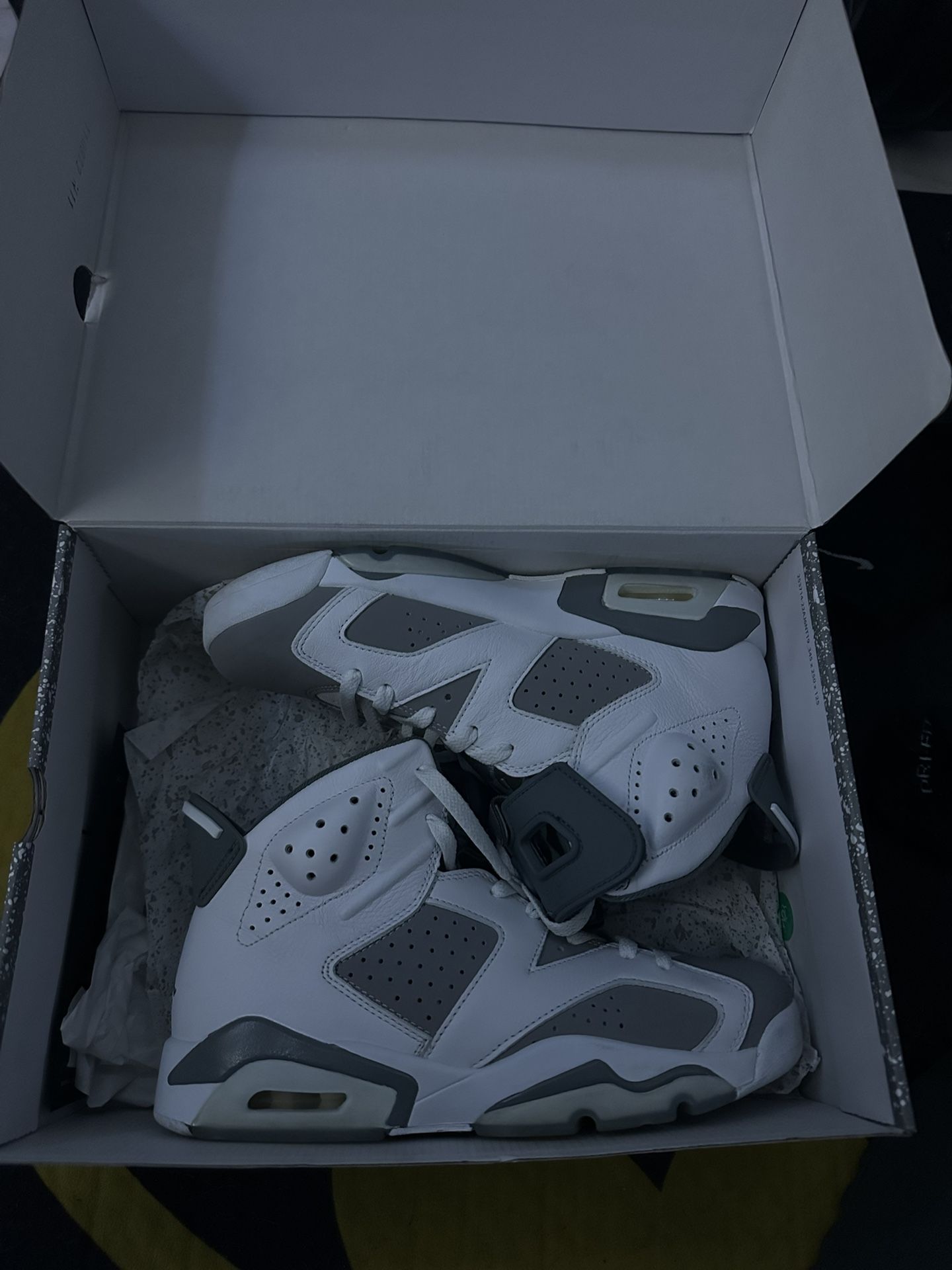 Jordan 6 cool greys