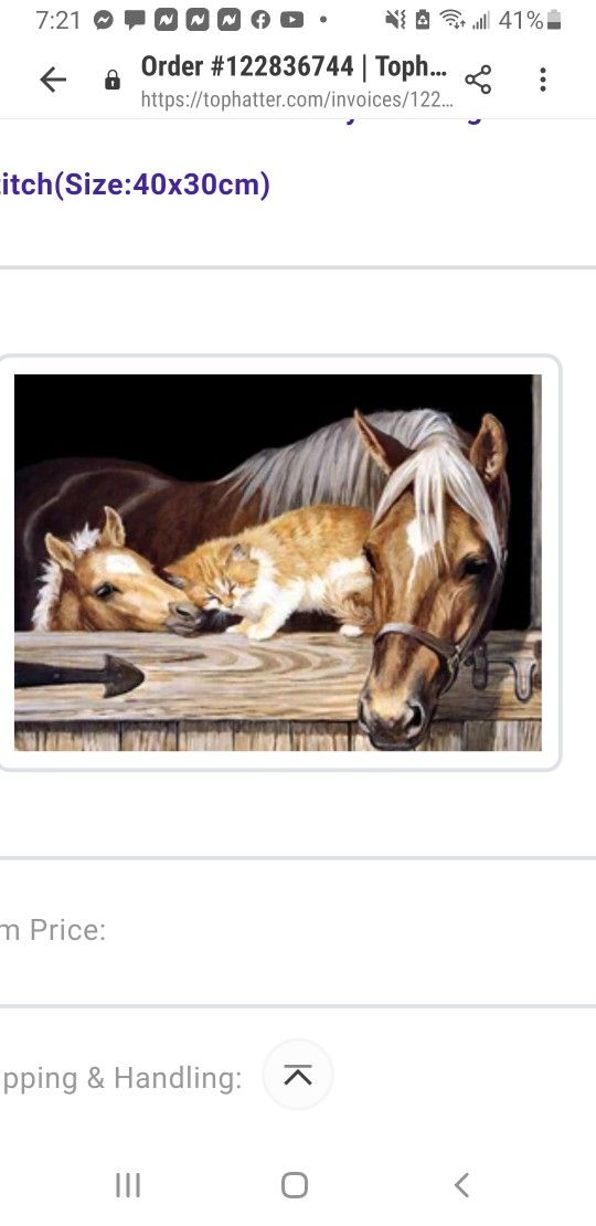 5d Diamond Art 💎 Paintingss Kits Everything You Need Great Gift🎁