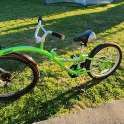 Trailer Bike 