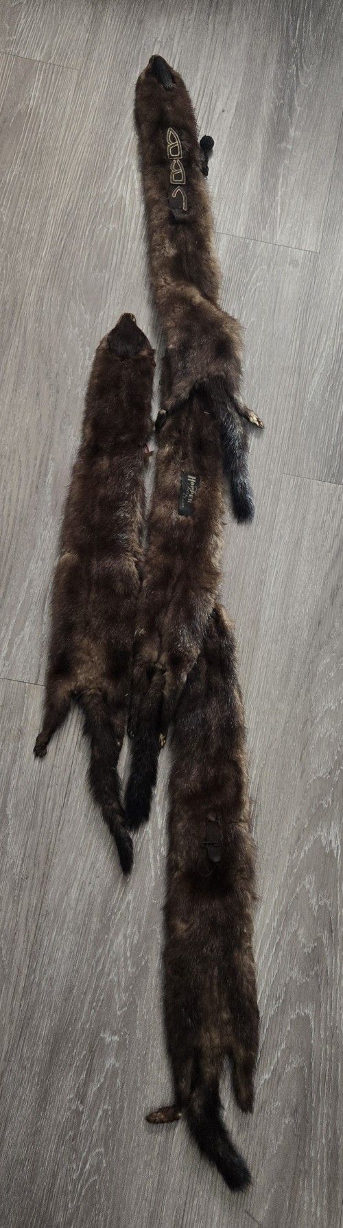 Vintage 4 Mink Fur Stole Pelts Scarfs Heads Full Body Taxidermy 1940s 1950s