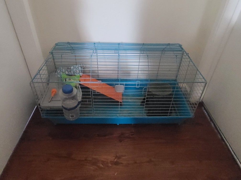 Guinnea Pig Cage with Slide