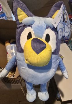 Bluey and Bingo, and bluey Blanket.