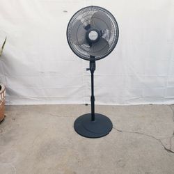 Fan