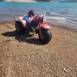 3 Wheeler 