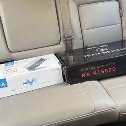 bass amp & voice amp