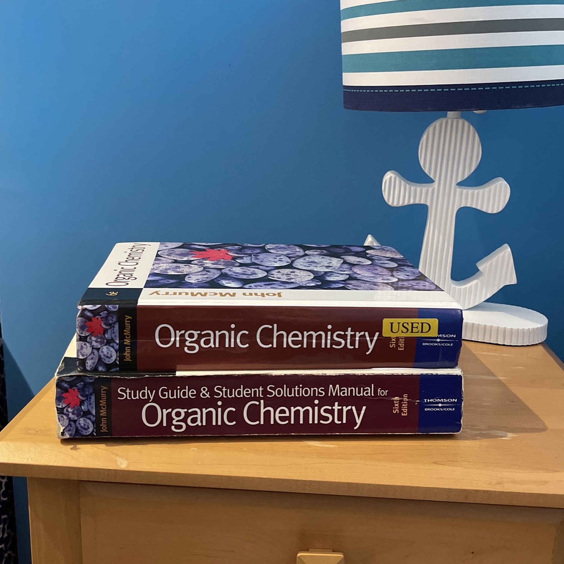 Organic Chemistry 6th Edition Study Guide & Solutions Manual