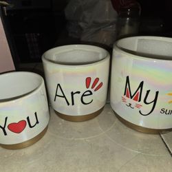 Ceramic  Indoor Pots For Plants