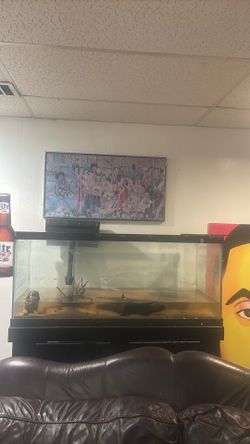 75 gallon Fish Tank and stand/cabinet
