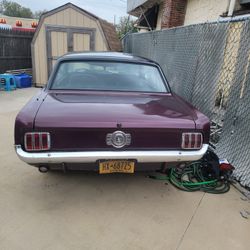 66 Mustang For Sale 