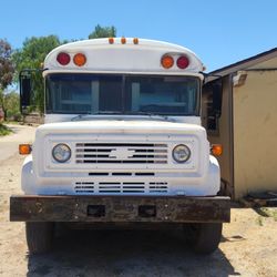 Burning Man Bus! Fully Converted School Bus perfect for any event!