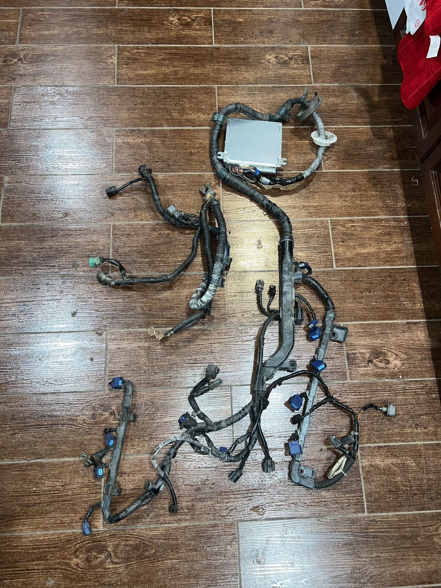 K20 K24 Type 2 Virgin Ecu And Harness 02-04