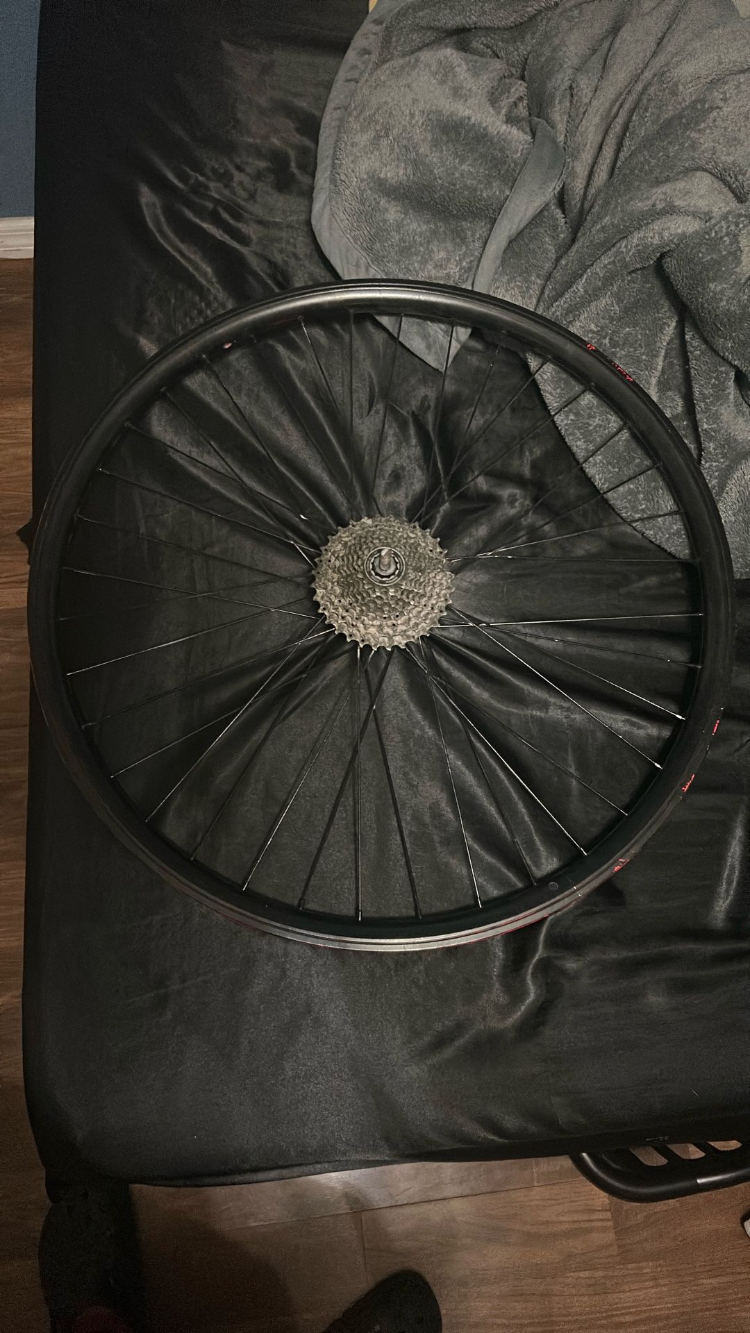 29 inch fast ripper 10 speed rim
