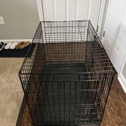 You & Me 2-Door Folding Dog Crate