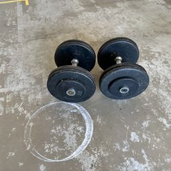 45 Pound Dumbbells 