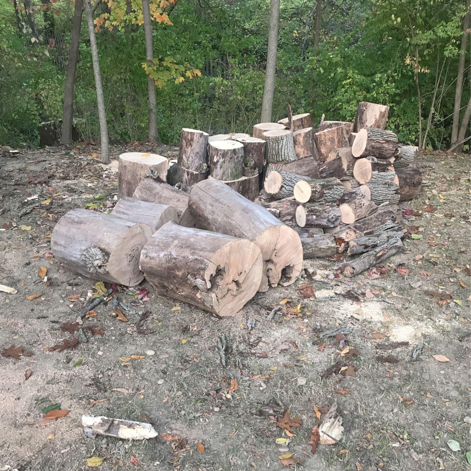 Seasoned ASH Firewood Ready To Split for Sale in Oaklandon, IN - OfferUp